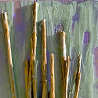 Cinnamon Sticks